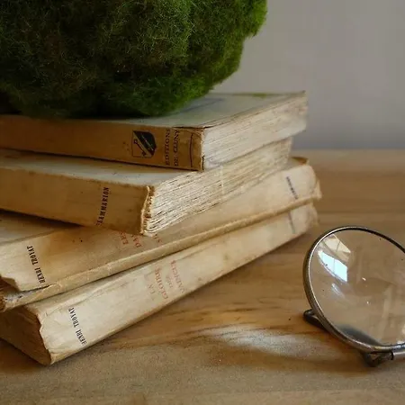 41 Maufoux By Bruno Colin Apartment